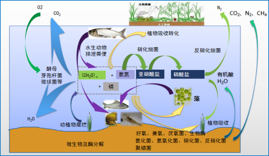 圖片2.png